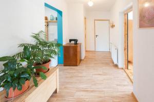 Fotografia z galérie ubytovania Apartament Latynoski z ogrodem - Dream Apart v destinácii Ustroň