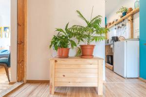Kuchyňa alebo kuchynka v ubytovaní Apartament Latynoski z ogrodem - Dream Apart