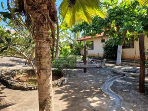 Mwana House في نونغوي: ثعبان يمشي في حديقة بجوار شجرة