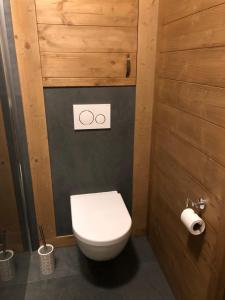 a bathroom with a toilet and two rings on the wall at Mountain chalet in Kořenov