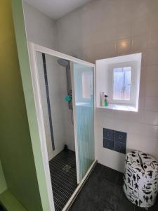 eine Dusche mit Glastür im Badezimmer in der Unterkunft Grande Maison meublée tout équipé Wifi, Télé, Billard - Demeure de 196 m2 à Tain l'hermitage - 5 Chambres - 12 Couchages in Tournon-sur-Rhône