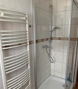 a bathroom with a shower with a glass door at Ferienwohnung Bergstraße in Winterberg