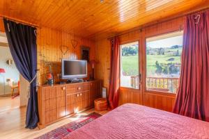 a bedroom with a bed and a tv and a window at Hypercenter at the foot of the slopes in Le Grand-Bornand