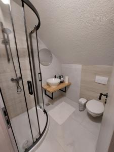 Apartments & rooms Velebit في Lovinac: حمام مع دش ومغسلة ومرحاض