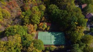 una vista sul soffitto di un campo da tennis in una foresta di Park Resort Aghveran a Agveran