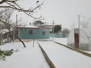 in the village, with a garden, one floor, detached talvel