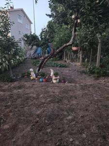 Gallery image of in the village, with a garden, one floor, detached in Silivri