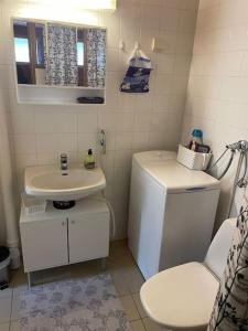 a small bathroom with a toilet and a sink at Parviainen-Helppoa yöpymistä in Soini