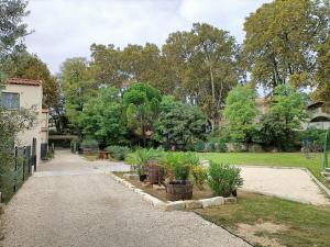 een tuin met potplanten in een tuin bij Maison calme avec jardin et parking privés in Marsillargues