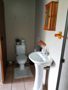 a bathroom with a toilet and a sink at King's Hill in Hilton