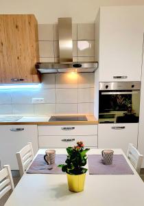 A kitchen or kitchenette at Central Rooms Best Vacation Ever