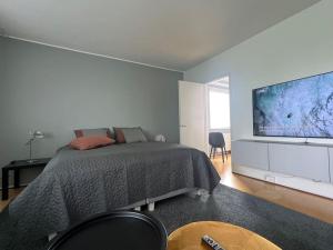 a bedroom with a bed and a large screen tv at Studiohuoneisto Liisankatu in Lappeenranta