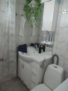 a bathroom with a white sink and a toilet at Tampere, Teisko , Näsijärven rannalla 