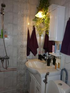 a bathroom with a sink and a shower curtain at Tampere, Teisko , Näsijärven rannalla 