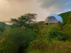 Gallery image of Teela- The Glamping Resort, Jaipur in Udāsar +37 photos