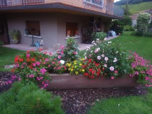 un jardín de flores frente a una casa en La rocatelle, en Andlau