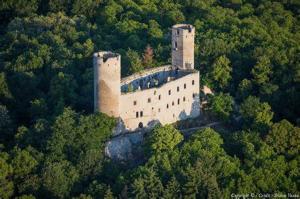 ein altes Schloss mitten im Wald in der Unterkunft La rocatelle in Andlau