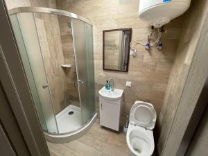 ein Bad mit einer Dusche, einem WC und einem Waschbecken in der Unterkunft Смарт-квартира біля озера in Winnyzja
