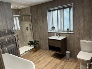 a bathroom with a toilet and a sink and a shower at Ulverston stunning 1 bedroom apartment in Ulverston