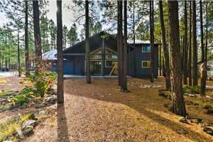 Pinetop Retreat في Indian Pine: منزل في الغابة مع الأشجار
