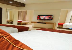 TV a/nebo společenská místnost v ubytování The Paradise Hotel - LUXURY STAY