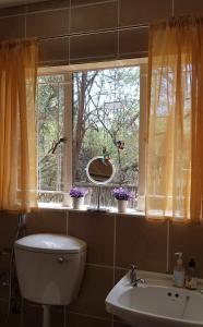 baño con aseo y lavabo y ventana en The Aces - NUDE - SunEden Family Naturist Resort, en Pretoria