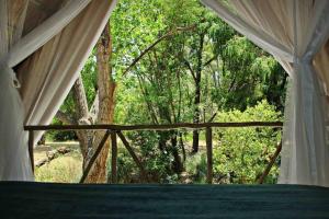 Κήπος έξω από το Hot Spring bungalow in Limpopo +22 φωτογραφίες