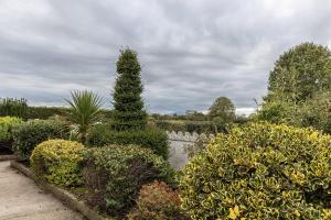 a garden with a tree and some bushes at Hally's Farm in Kilkenny