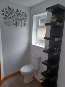 a bathroom with a toilet and a black shelf at Bear Apartments in Rhayader