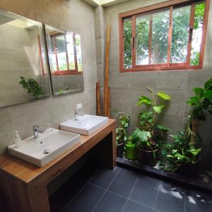 uma casa de banho com um lavatório, um espelho e vasos de plantas em Baiyok Villa seaview and edge pool em Patong Beach