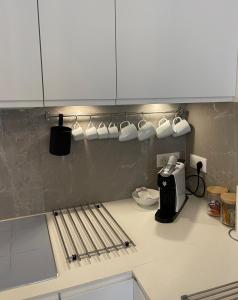 Kuchyňa alebo kuchynka v ubytovaní Appartement Le Palais du Commerce