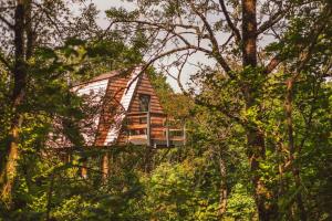 uma casa no topo de uma colina com árvores em Skapya Treehouse with private hot tub . em Helston