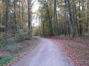 Príroda v okolí apartmánu