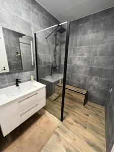 Bathroom sa Garden Apartment Oradea