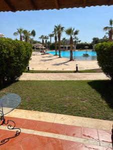 vistas a una piscina con palmeras y una mesa en Palm resort 2B en Sharm El Sheikh