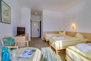 a hotel room with two beds and a tv at Hotel Astor in Altenburg