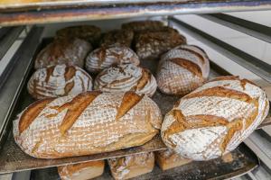 Toit motelli aladel või selle läheduses