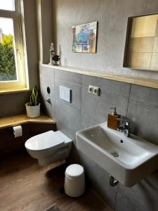 een badkamer met een wit toilet en een wastafel bij Ferienwohnung in der schönen Rattenfängerstadt in Hameln