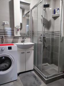 y baño con lavadora y ducha. en Agape apartman en Višegrad