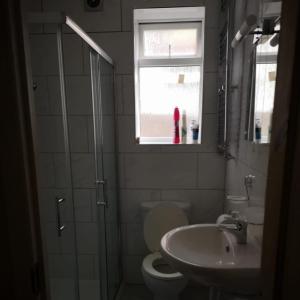 a bathroom with a toilet and a sink and a window at George Lane in London