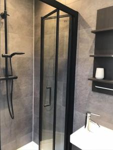 a shower with a glass door in a bathroom at The Bay Cabin, secluded retreat Freshwater Bay in Freshwater