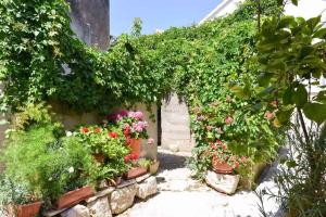 Fotografie z fotogalerie ubytování Holiday home Petrcane/Zadar Riviera 7871 v destinaci Petrcane + 4 fotografie