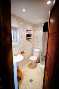 a bathroom with a toilet and a sink at chata u Tesáku in Rajnochovice