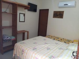 a bedroom with a bed and a tv and a shelf at Propriedade patolo in São Miguel dos Milagres