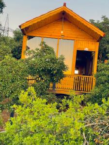 un pequeño edificio con un porche en medio de árboles en Ajloun Wooden Huts اكواخ عجلون الخشبية Live amid nature, en Umm al Manābī‘