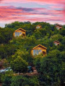 un grupo de cabañas en una colina con árboles en Ajloun Wooden Huts اكواخ عجلون الخشبية Live amid nature, en Umm al Manābī‘