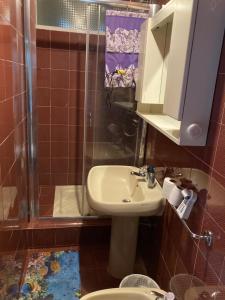 a bathroom with a sink and a shower at Sophie`s Home in Gallese