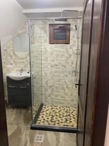 a bathroom with a shower and a sink at Acasa la Tulucu in Bîrsana +13 photos