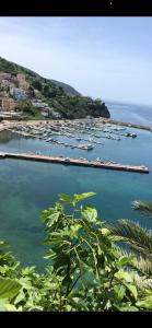 vistas a un puerto con barcos en el agua en Suites Luisa Sanfelice, en Agropoli