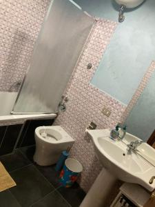 ein Bad mit einem WC und einem Waschbecken in der Unterkunft Sophie`s Home in Gallese